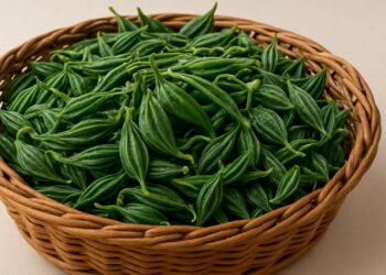 Cymbal Vine: इसके आश्चर्यजनक स्वास्थ्य लाभों और संरक्षण की तत्काल आवश्यकता का खुलासा करना