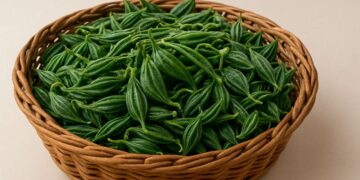 Cymbal Vine: इसके आश्चर्यजनक स्वास्थ्य लाभों और संरक्षण की तत्काल आवश्यकता का खुलासा करना