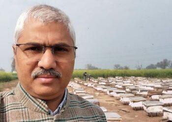 GFBN सफलता की कहानी: बेरोजगार युवाओं से 2.5 करोड़ रुपये तक हनीप्रेन्योर- कैसे 'शाहदवाले' ने एक ग्रामीण उद्यम बिजलीघर में मधुमक्खी पालन किया