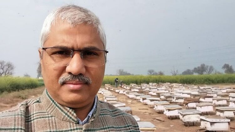 GFBN सफलता की कहानी: बेरोजगार युवाओं से 2.5 करोड़ रुपये तक हनीप्रेन्योर- कैसे 'शाहदवाले' ने एक ग्रामीण उद्यम बिजलीघर में मधुमक्खी पालन किया