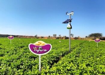 Hyfarm और Fyllo आलू की खेती के लिए AI और IoT- संचालित सटीक खेती को चलाने के लिए सहयोग करते हैं
