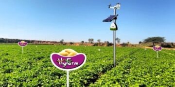 Hyfarm और Fyllo आलू की खेती के लिए AI और IoT- संचालित सटीक खेती को चलाने के लिए सहयोग करते हैं