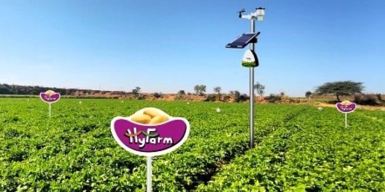 Hyfarm और Fyllo आलू की खेती के लिए AI और IoT- संचालित सटीक खेती को चलाने के लिए सहयोग करते हैं