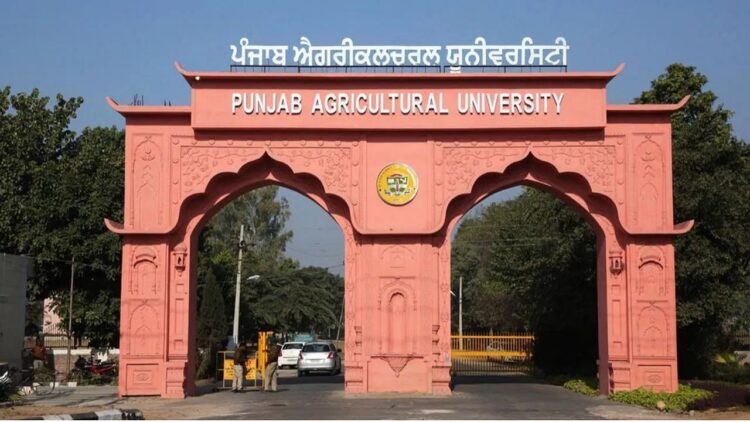 PAU ने स्मार्ट फार्मिंग इकोसिस्टम को बढ़ावा देने के लिए AI और डेटा साइंस में Mechatronics, M.Tech में PG डिप्लोमा लॉन्च किया।