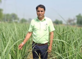 अप किसान सरताज खान अभिनव गन्ने की खेती से करोड़ कमाता है