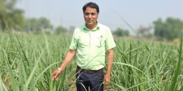 अप किसान सरताज खान अभिनव गन्ने की खेती से करोड़ कमाता है