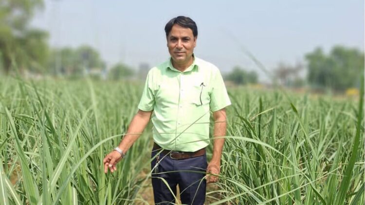 अप किसान सरताज खान अभिनव गन्ने की खेती से करोड़ कमाता है