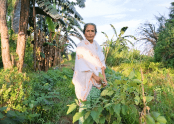 असम महिला ने 32-बीघा एकीकृत खेत को फिशरी, नेपियर घास, और शिक्षण नौकरी खोने के बाद सेरीकल्चर का निर्माण किया