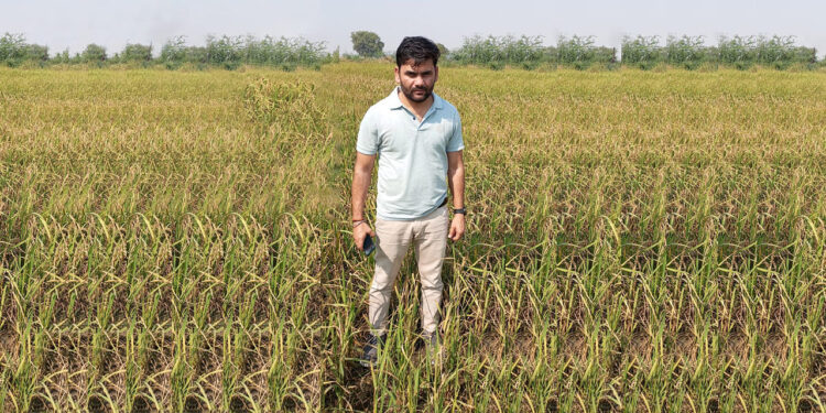 कैसे कोकिला -33 धान की विविधता ने लाभदायक खेती के माध्यम से एक युवा किसान का जीवन बदल दिया