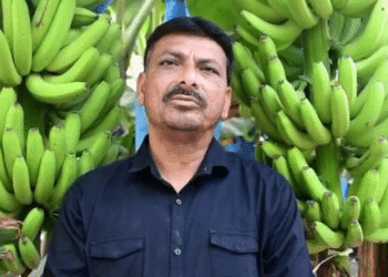 गुजरात के अभिनव केले के किसान धिरेंद्रकुमार भानुभाई देसाई से मिलें, 35 टन/एकड़ केले की उपज प्राप्त करें और सालाना 50-60 लाख रुपये कमाई