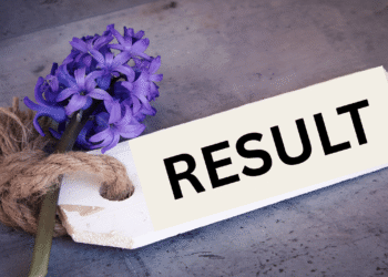 तमिलनाडु एचएसई प्लस 2 परिणाम 2025 tnresults.nic.in पर घोषित किया गया: यहाँ है कि कैसे जांच करें, प्रतिशत पासिंग, प्रत्यक्ष लिंक, और बहुत कुछ