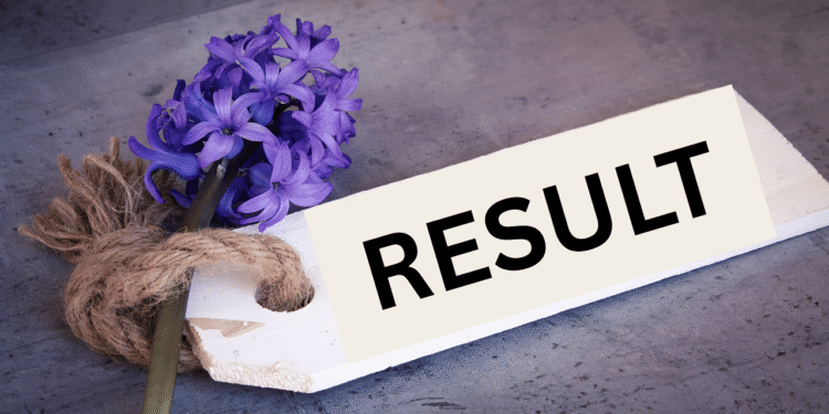 तमिलनाडु एचएसई प्लस 2 परिणाम 2025 tnresults.nic.in पर घोषित किया गया: यहाँ है कि कैसे जांच करें, प्रतिशत पासिंग, प्रत्यक्ष लिंक, और बहुत कुछ
