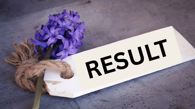 तमिलनाडु एचएसई प्लस 2 परिणाम 2025 tnresults.nic.in पर घोषित किया गया: यहाँ है कि कैसे जांच करें, प्रतिशत पासिंग, प्रत्यक्ष लिंक, और बहुत कुछ