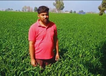 पंजाब के एक युवा प्रगतिशील किसान PB-1121 बासमती चावल के साथ समृद्धि का एक नया अध्याय लिखते हैं