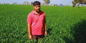 पंजाब के एक युवा प्रगतिशील किसान PB-1121 बासमती चावल के साथ समृद्धि का एक नया अध्याय लिखते हैं