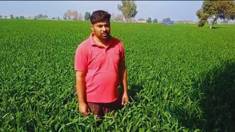 पंजाब के एक युवा प्रगतिशील किसान PB-1121 बासमती चावल के साथ समृद्धि का एक नया अध्याय लिखते हैं