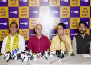 पंजाब न्यूज: AAP ने उद्योगपति नितिन कोहली को जालंधर सेंट्रल इन-चार्ज के रूप में नियुक्त किया