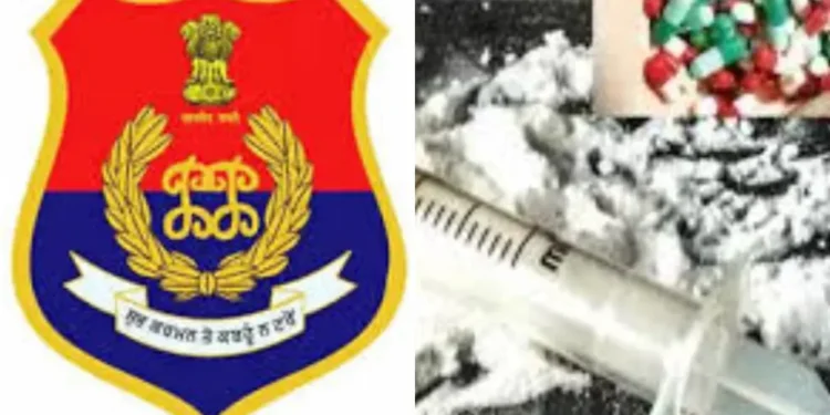 पंजाब पुलिस ड्रग्स के खिलाफ युद्ध को गहरा करती है! लगभग 250 ड्रग तस्करों को 500 से अधिक छापे में गिरफ्तार किया गया, विवरण की जाँच करें