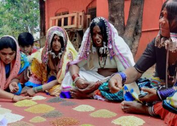 बाजरा से लेकर अविश्वास तक, एक फसल खट्टा हो गया
