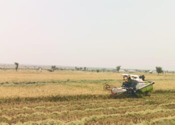 बेलगावी स्टार्ट-अप ने एआई-आधारित कृषि ऐप लॉन्च किया