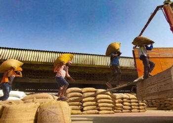 भारत की ग्रीष्मकालीन हार्वेस्ट माल बूम को खिलाता है, लेकिन किसानों ने कीमत चुकाई है