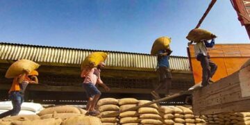 भारत की ग्रीष्मकालीन हार्वेस्ट माल बूम को खिलाता है, लेकिन किसानों ने कीमत चुकाई है