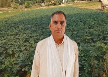 यूपी किसान आधुनिक तकनीकों के साथ टमाटर, ब्रिंजल, और आलू की खेती के द्वारा प्रति हेक्टेयर 75,000 शुद्ध लाभ कमाता है