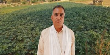 यूपी किसान आधुनिक तकनीकों के साथ टमाटर, ब्रिंजल, और आलू की खेती के द्वारा प्रति हेक्टेयर 75,000 शुद्ध लाभ कमाता है