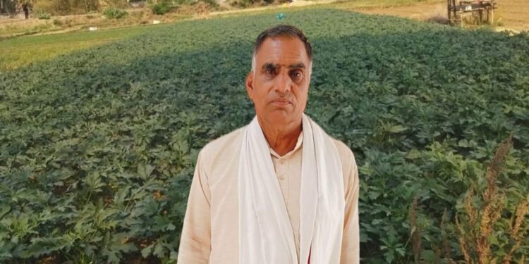 यूपी किसान आधुनिक तकनीकों के साथ टमाटर, ब्रिंजल, और आलू की खेती के द्वारा प्रति हेक्टेयर 75,000 शुद्ध लाभ कमाता है
