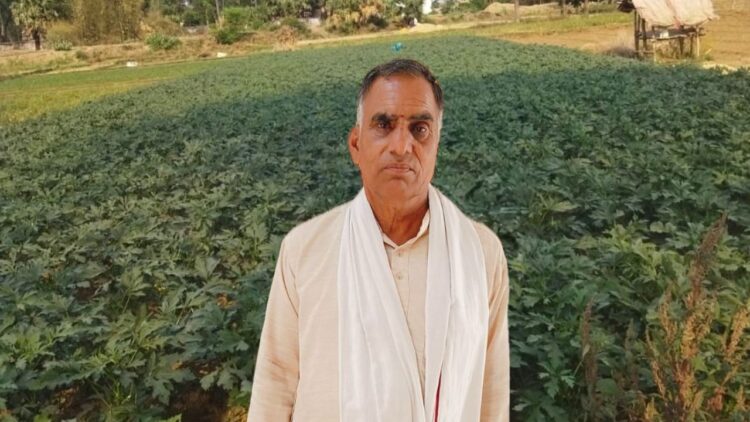 यूपी किसान आधुनिक तकनीकों के साथ टमाटर, ब्रिंजल, और आलू की खेती के द्वारा प्रति हेक्टेयर 75,000 शुद्ध लाभ कमाता है