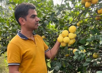 लेख राम यादव ने ए 2 डेयरी, एग्री-टूरिज्म और सस्टेनेबल फार्मिंग तकनीकों के साथ 17 करोड़ रुपये का व्यवसाय बनाया।