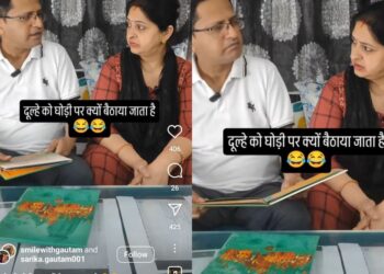 वायरल वीडियो: पत्नी ने पति से पूछा कि दूल्हे घोड़ों पर क्यों बैठते हैं? उनकी प्रतिक्रिया वायरल हो जाती है