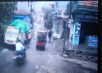 वायरल वीडियो: बुल स्कूटी को चलाने की योजना है, आगे क्या होता है किसी का भी अनुमान है