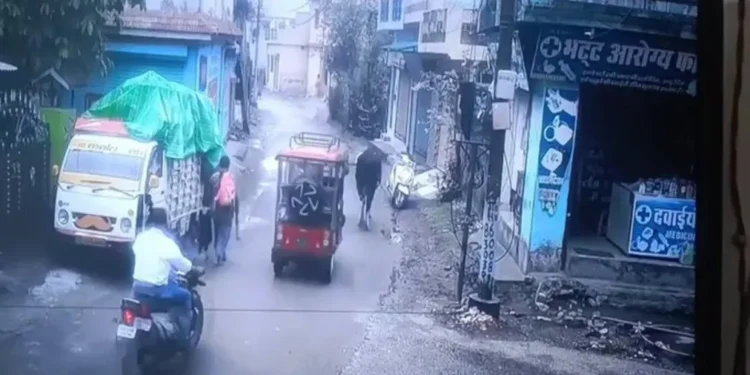 वायरल वीडियो: बुल स्कूटी को चलाने की योजना है, आगे क्या होता है किसी का भी अनुमान है