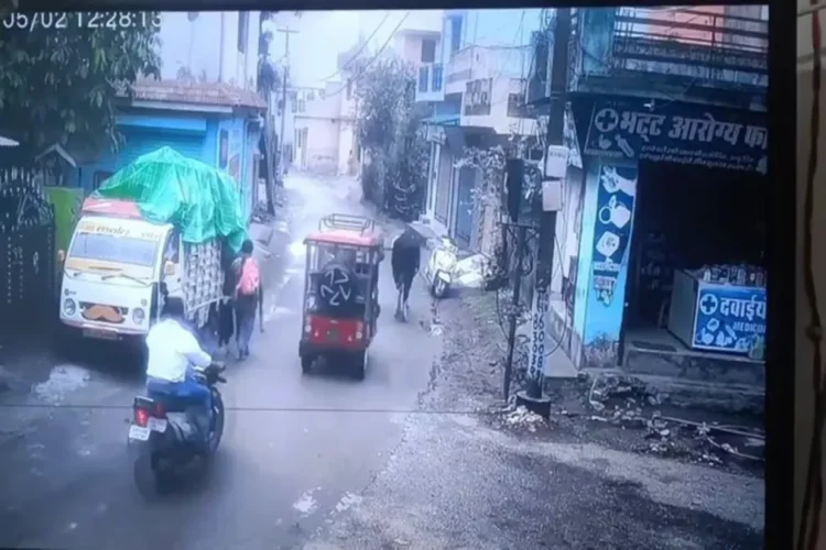 वायरल वीडियो: बुल स्कूटी को चलाने की योजना है, आगे क्या होता है किसी का भी अनुमान है