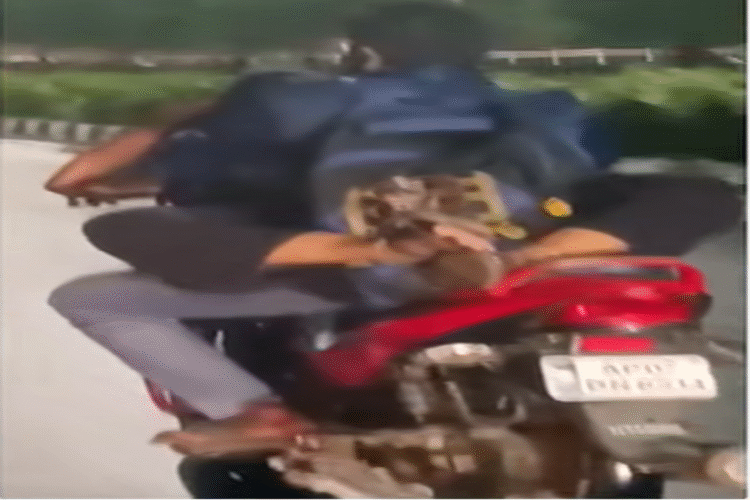 विजयवाड़ा वीडियो: सड़क पर Besharmi भौंहें उठाता है! प्रेमिका, बाइक पर प्रेमी सभी सीमा पार करता है