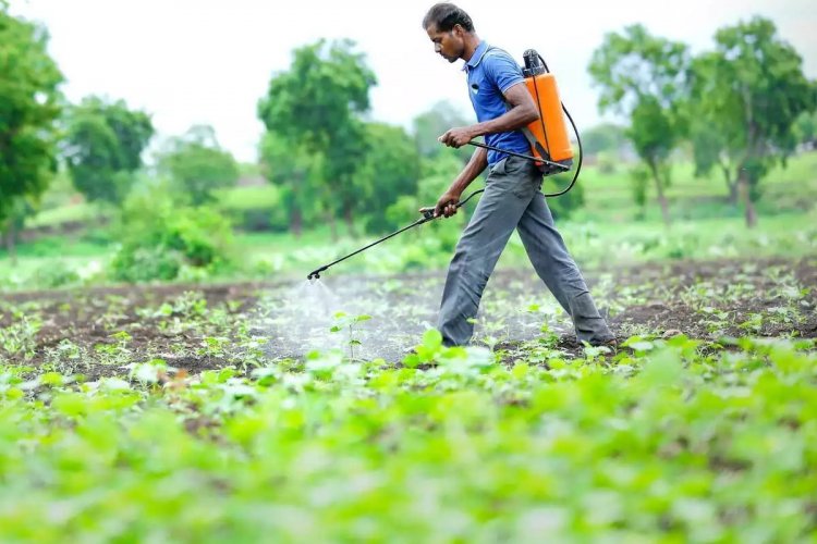 एग्रोकेमिकल इंपोर्ट्स अलार्म भारतीय उद्योग में वृद्धि, CCFI उच्च आयात ड्यूटी की मांग करता है