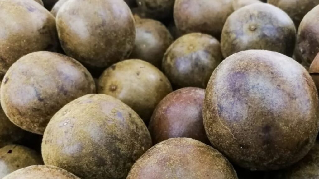 भिक्षु फल: भारतीय किसानों के लिए उच्च लाभ और स्वास्थ्य लाभ प्रदान करने वाला एक प्राकृतिक स्वीटनर