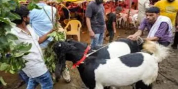 Bakrid 2025: मध्य प्रदेश गांव में कानूनी उलझन में बलिदान विवाद भूमि