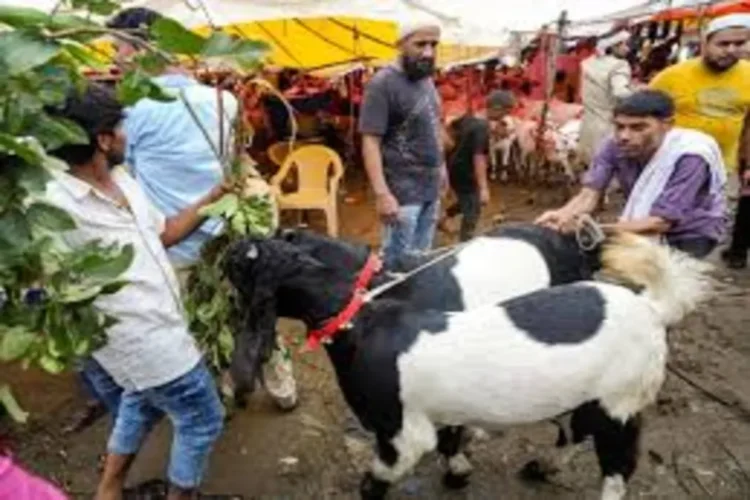 Bakrid 2025: मध्य प्रदेश गांव में कानूनी उलझन में बलिदान विवाद भूमि
