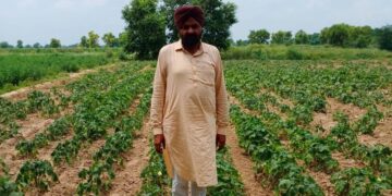 GFBN सक्सेस स्टोरी: हरियाणा की सुखजीत सिंह ने 60 लाख रुपये के कार्बनिक उद्यम में 72 एकड़ जमीन को बदल दिया, 600+ किसानों को प्रेरित किया