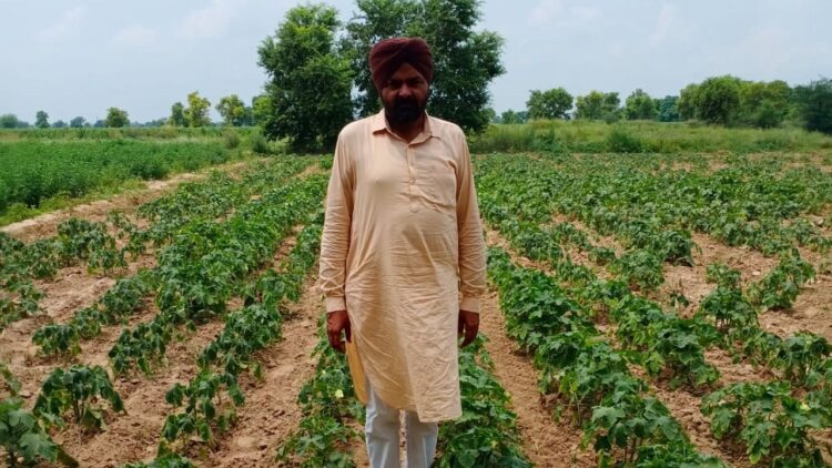 GFBN सक्सेस स्टोरी: हरियाणा की सुखजीत सिंह ने 60 लाख रुपये के कार्बनिक उद्यम में 72 एकड़ जमीन को बदल दिया, 600+ किसानों को प्रेरित किया