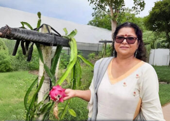 GFBN सफलता की कहानी: कैसे हिमाचल की ड्रैगन फ्रूट लेडी ने बंजर भूमि को 90 लाख रुपये एग्रो-एम्पायर और सशक्त 300+ महिलाओं में बदल दिया