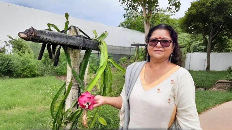 GFBN सफलता की कहानी: कैसे हिमाचल की ड्रैगन फ्रूट लेडी ने बंजर भूमि को 90 लाख रुपये एग्रो-एम्पायर और सशक्त 300+ महिलाओं में बदल दिया