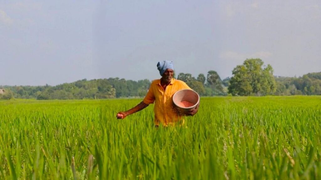SECI ने उत्सर्जन में कटौती करने के लिए 1,500-करोड़ रुपये का हरा अमोनिया निविदा जारी किया, भारत के उर्वरक क्षेत्र को डिकर्बोइज़ किया
