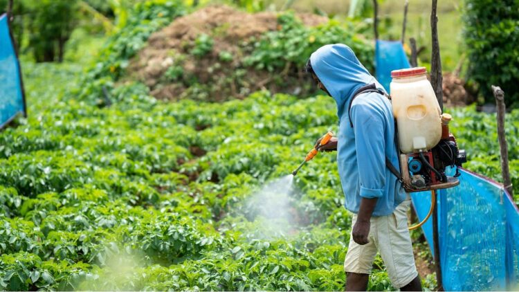SECI ने 30 जून, 2025 को ग्रीन अमोनिया टेंडर के लिए बोली की समय सीमा का विस्तार किया