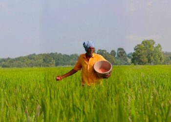 SECI ने उत्सर्जन में कटौती करने के लिए 1,500-करोड़ रुपये का हरा अमोनिया निविदा जारी किया, भारत के उर्वरक क्षेत्र को डिकर्बोइज़ किया