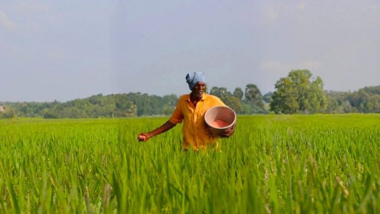 SECI ने उत्सर्जन में कटौती करने के लिए 1,500-करोड़ रुपये का हरा अमोनिया निविदा जारी किया, भारत के उर्वरक क्षेत्र को डिकर्बोइज़ किया