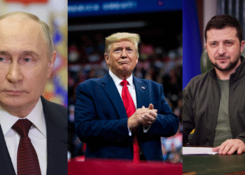 Zelenskyy गर्व से ड्रोन हमले की उपलब्धियों को साझा करता है! रूस यूक्रेन युद्ध को रोकने के लिए डोनाल्ड ट्रम्प की चेतावनी बहरे कानों पर गिरती है?