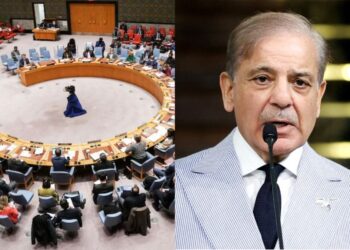 'आतंकवादियों का देश' पाकिस्तान को UNSC, कुर्सियों तालिबान प्रतिबंध पैनल में प्रमुख आतंकवाद विरोधी भूमिका मिलती है